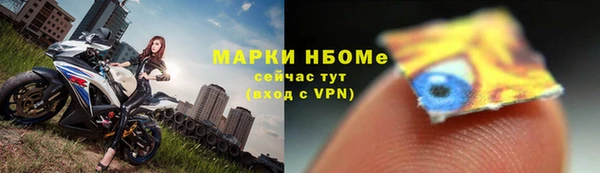 гидра Алзамай