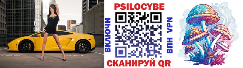 Псилоцибиновые грибы мухоморы  даркнет сайт  Чадан 